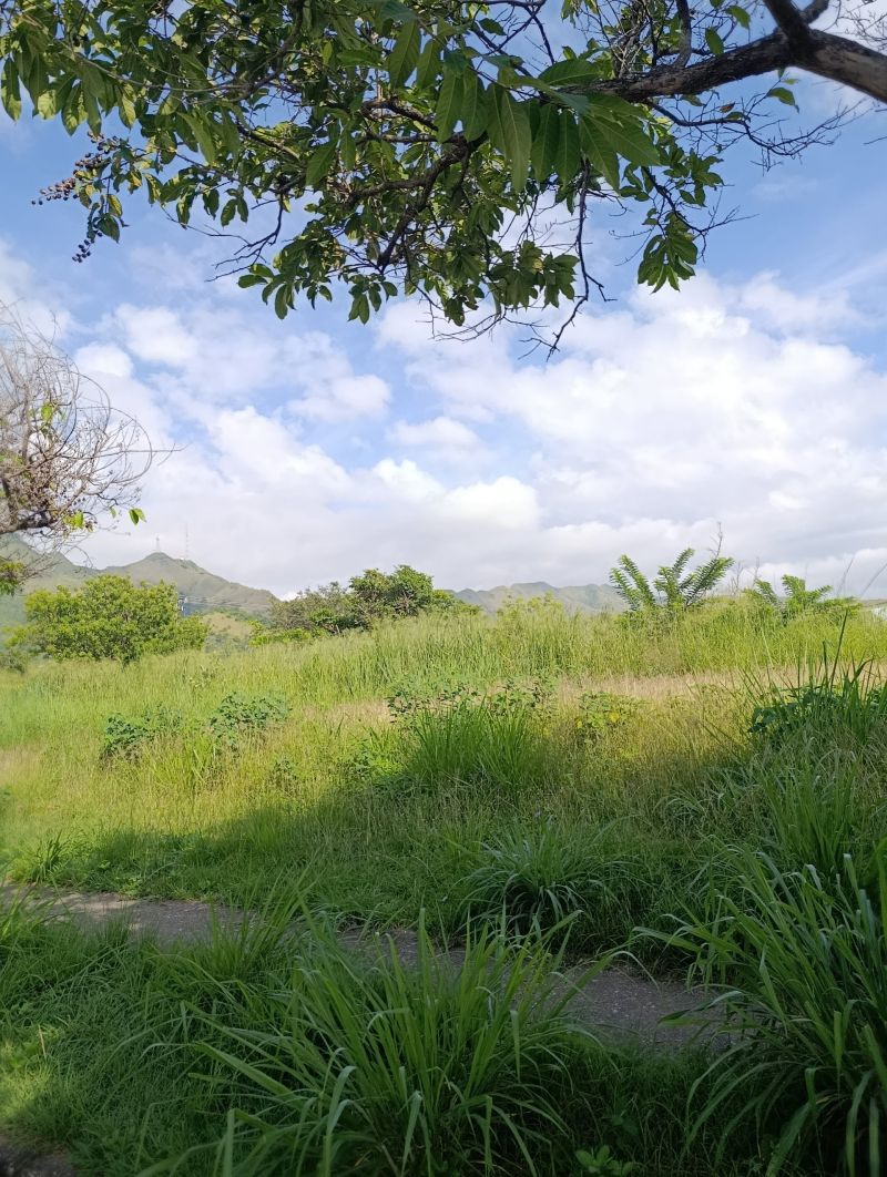 Propiedad