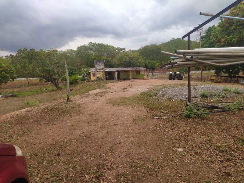 Propiedad